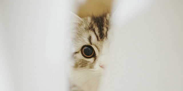 欠点を見つけたイメージ