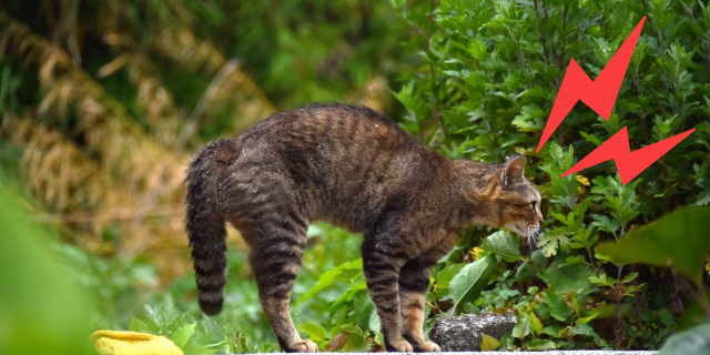 全力で抵抗せよ