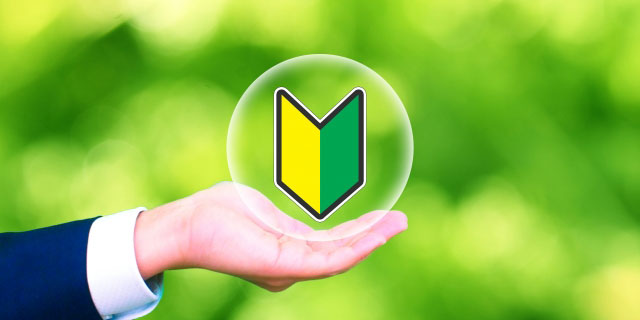 インターンシップでの業務内容