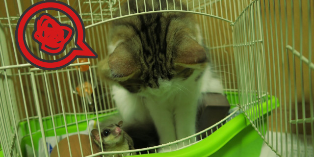 IT導入補助金は狭き門に