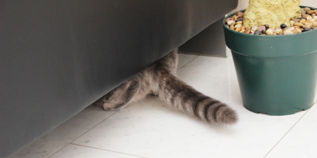 【結論】一時的に消えているだけ