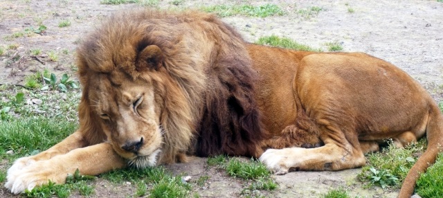 イマイチなイメージ