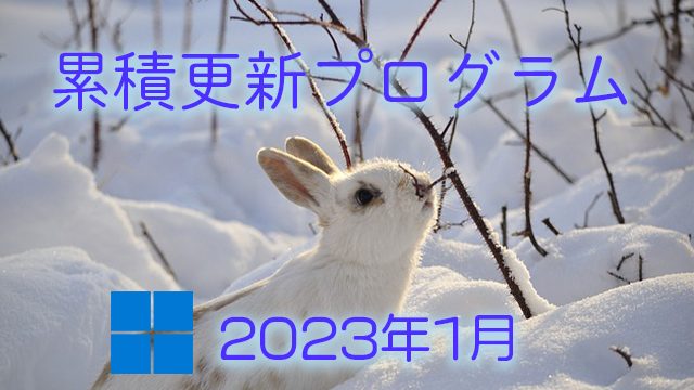 [Windows 10・11/Server]2023年1月累積更新プログラム公開!KB5021255、KB5021234、KB5021233、KB5021237、KB5021235など