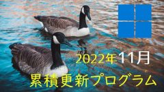 [Windows 10・11/Server]2022年11月累積更新プログラム公開!KB5019980、KB5019959、KB5019966、KB5019964など