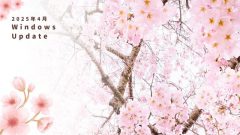[Windows 10/11/Server]2025年4月累積更新プログラム公開 KB5055523 KB5055528 KB5055518 KB5055523など