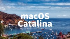 macOS 10.15 Catalinaリリース！プリンター使うならアップデートは待とう